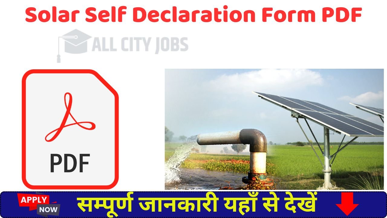 Solar Self Declaration Form PDF