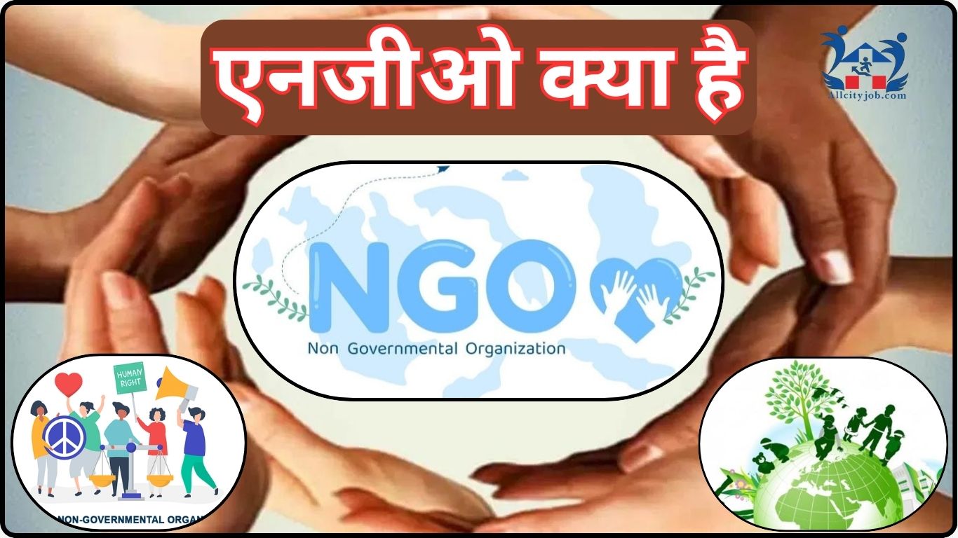 What is NGO