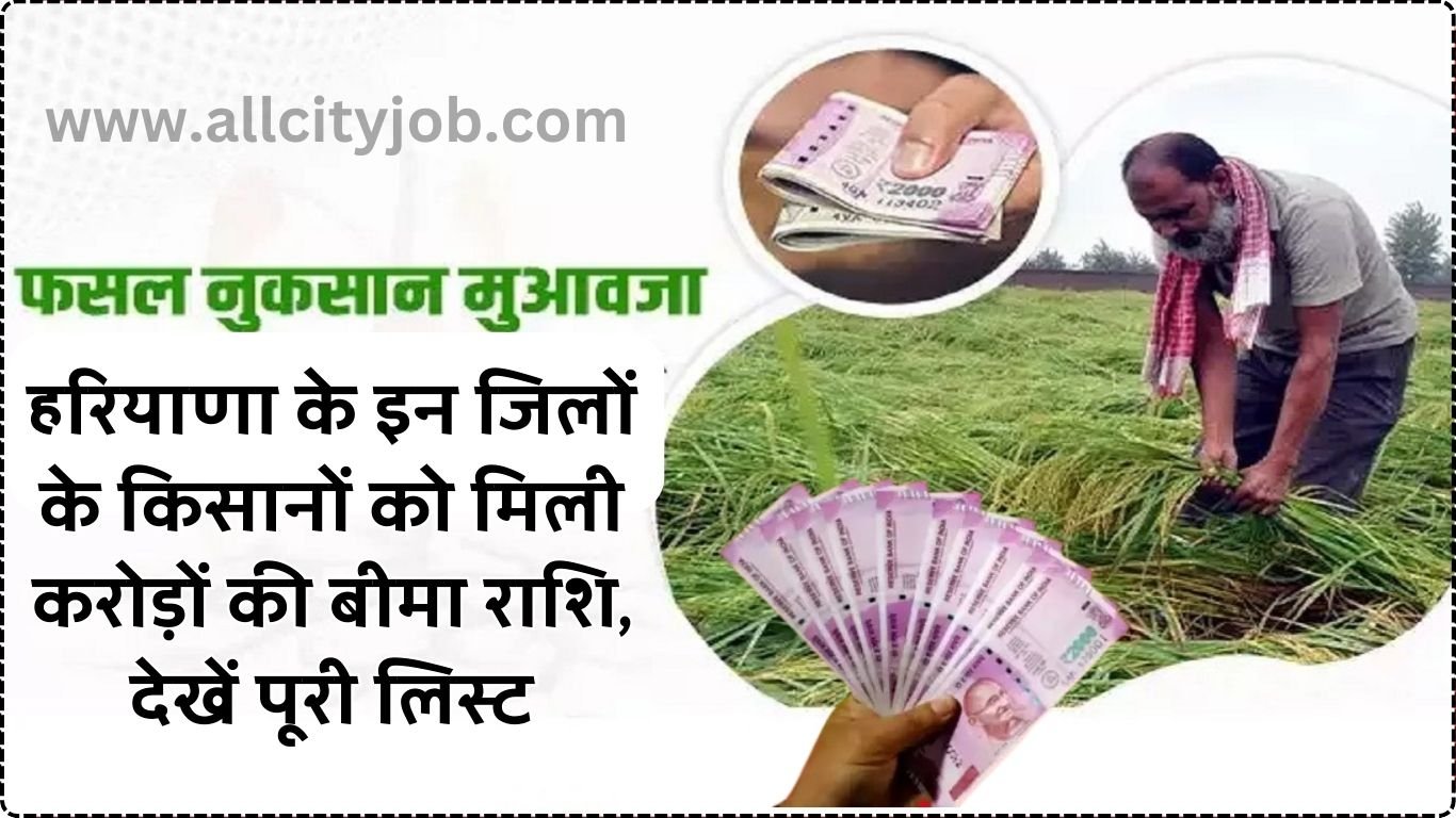 हरियाणा के इन जिलों के किसानों को मिली करोड़ों की बीमा राशि, देखें पूरी लिस्ट