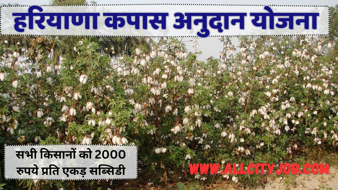 Haryana Kapas Anudan Yojana Form 2024, सभी किसानों को 2000 रुपये प्रति एकड़ सब्सिडी