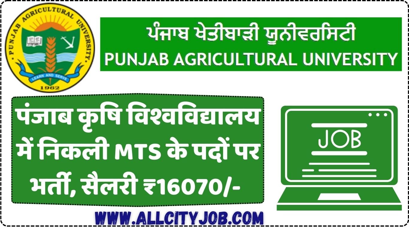 PAU MTS Vacancy Notification 2024, Check Vacancy Details Now
