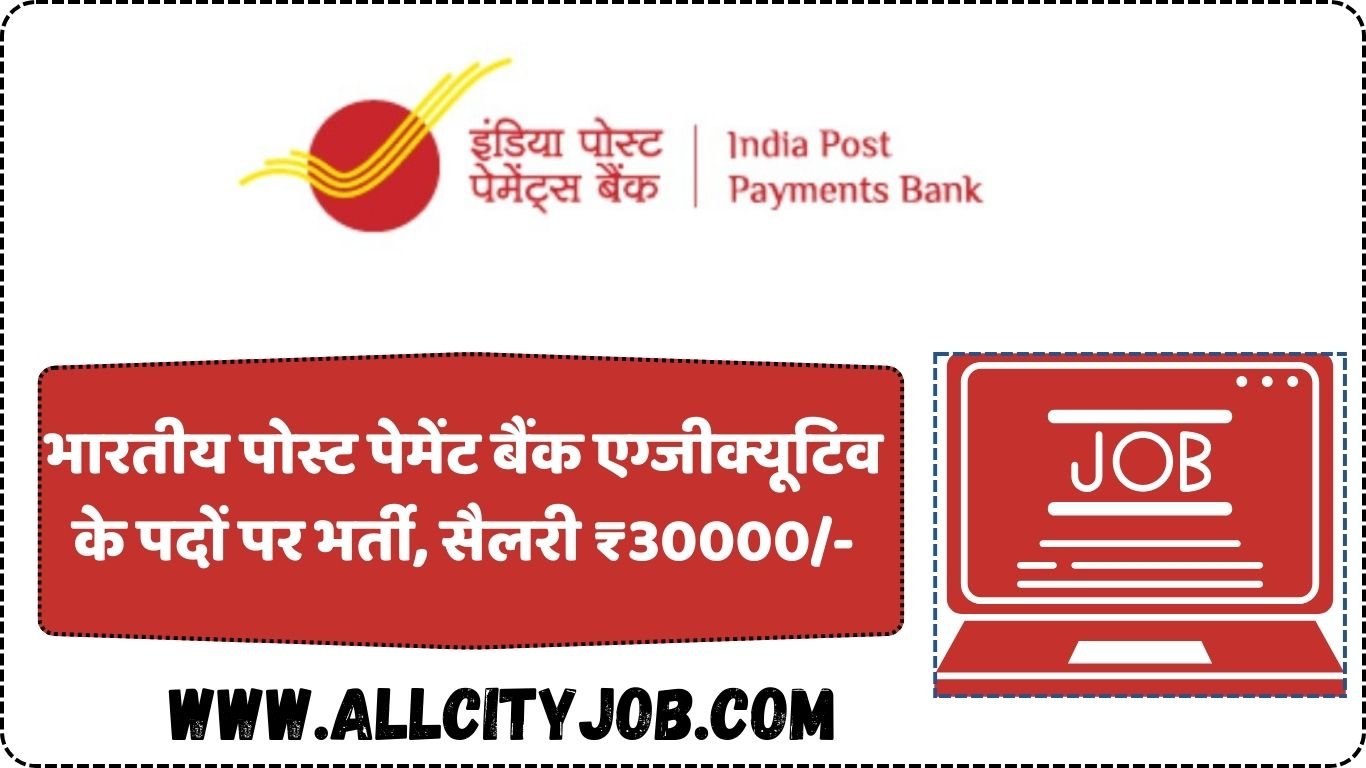 IPPB Executive Job 2024