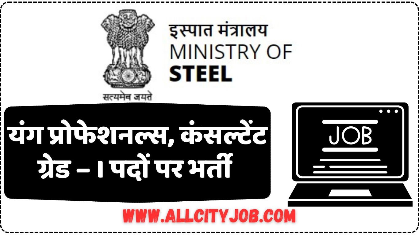 Ministry of Steel Young Professional and Consultant Recruitment 2024