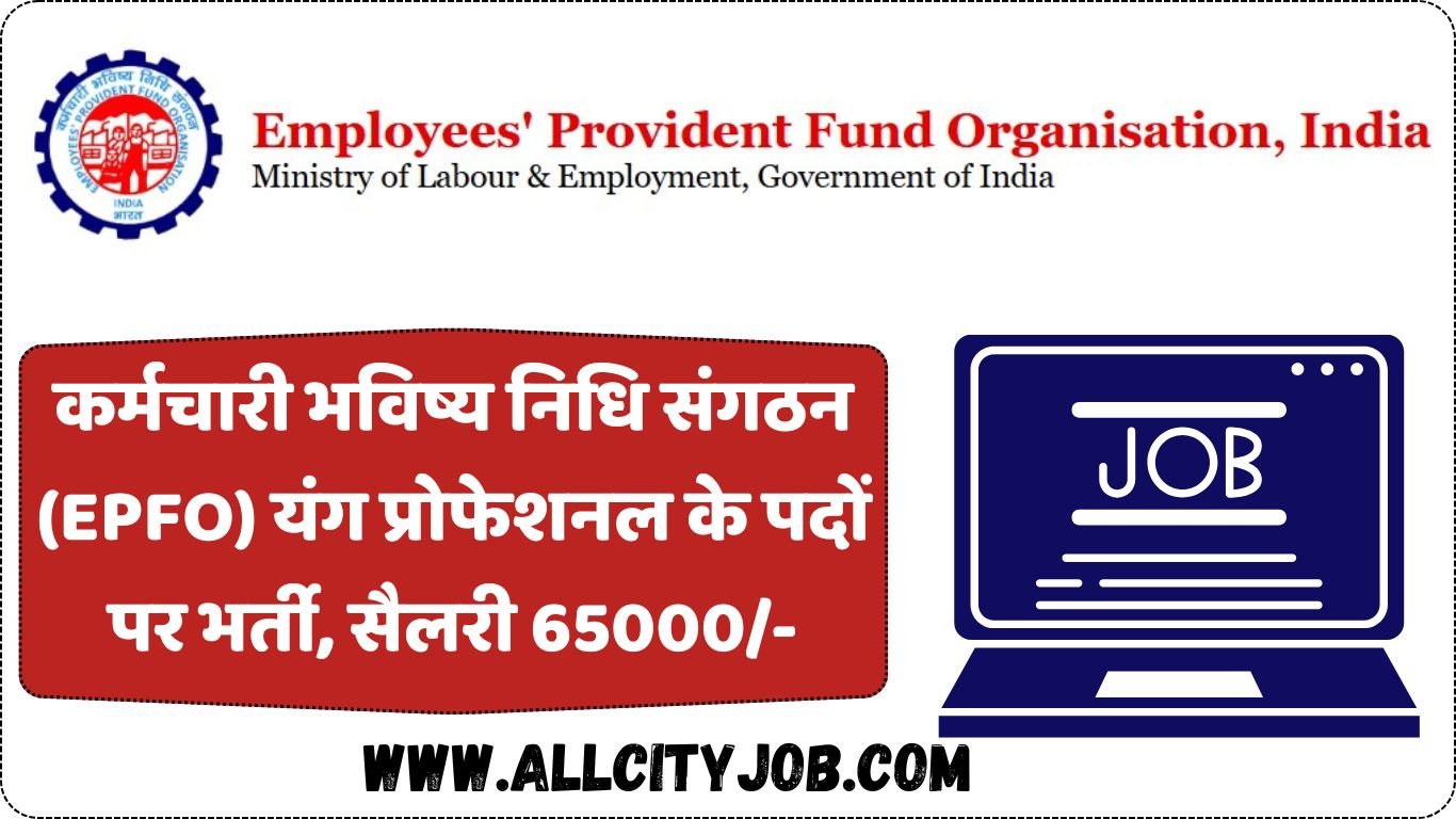 EPFO Young Professional Job 2024