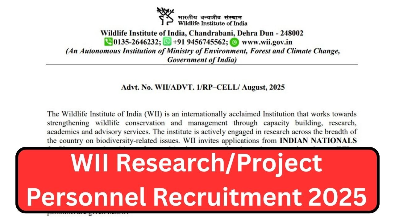 WII Research/Project Personnel Recruitment 2025