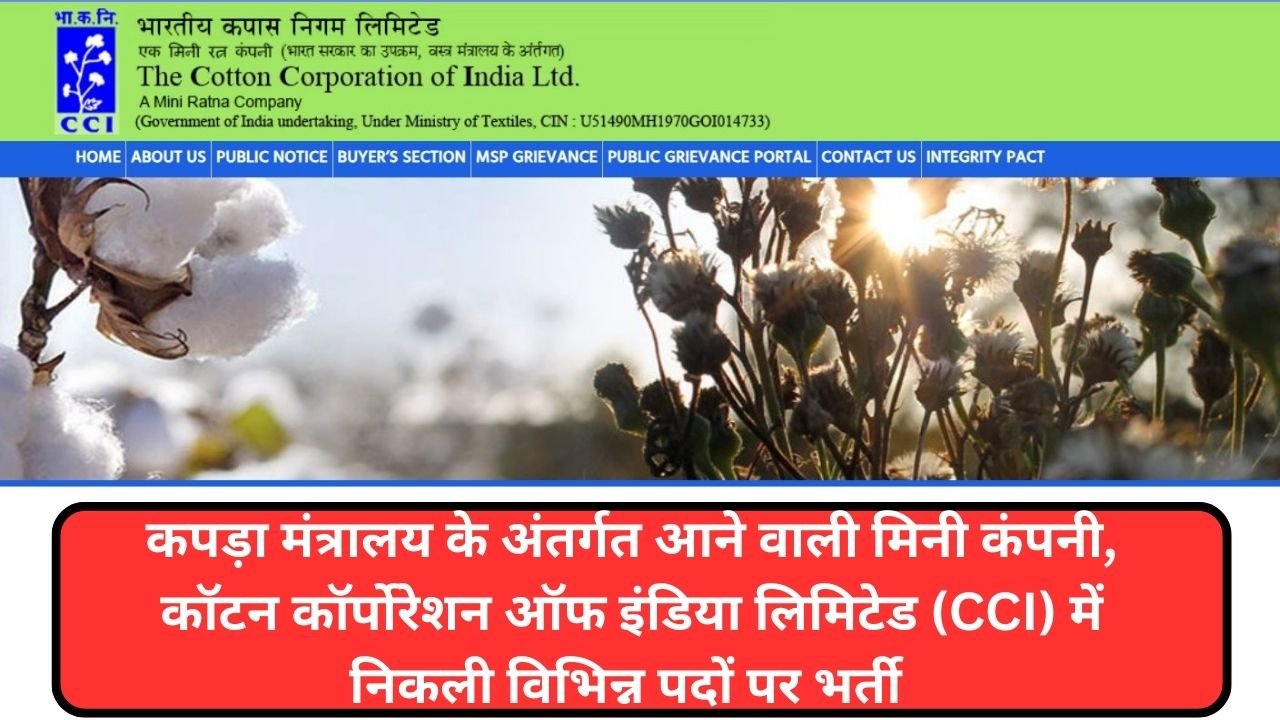 CCI Recruitment 2025, Grab Temporary Roles with Up to ₹37,000 Salary at Cotton Corporation
