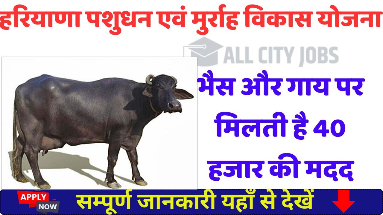 Haryana Cattle and Murrah Development Yojana